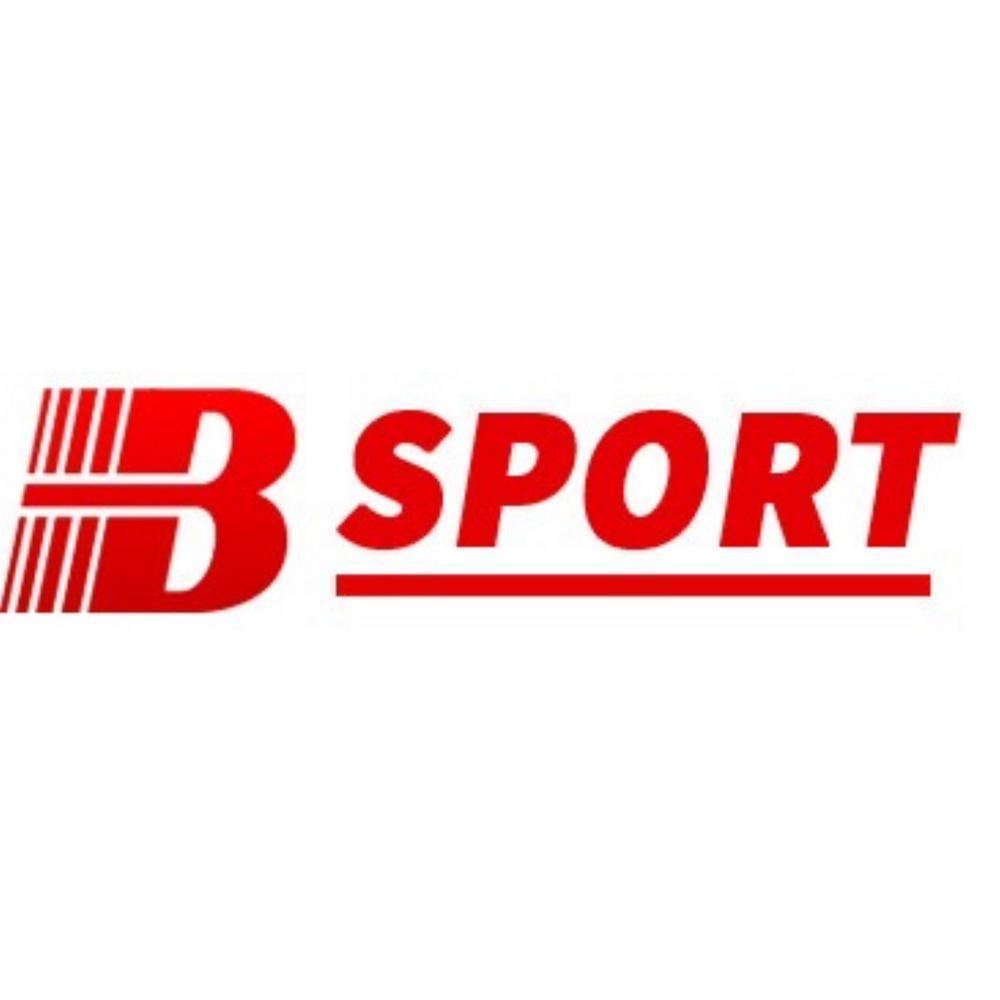 Bsports VC's avatar'