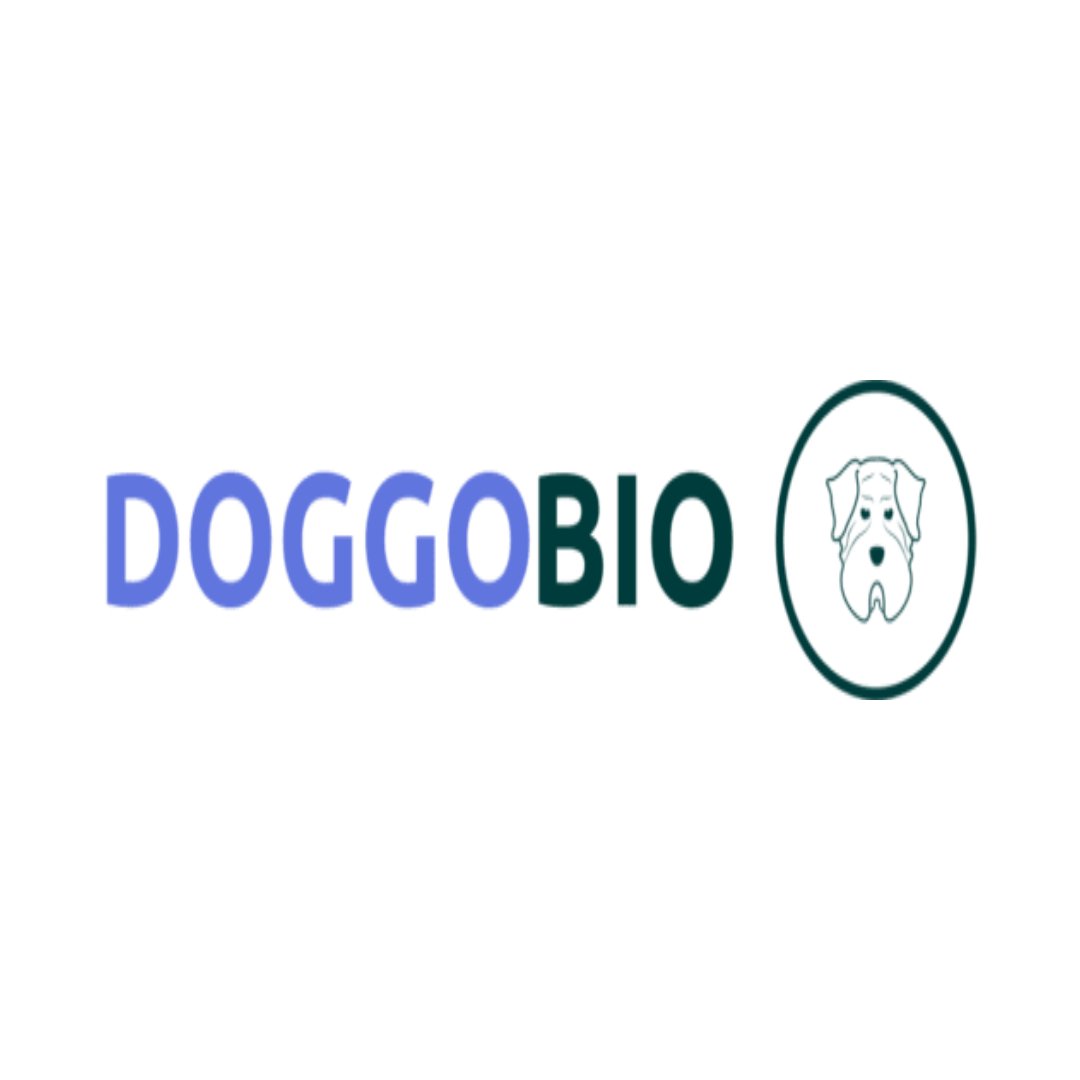 Doggo Bio's avatar'