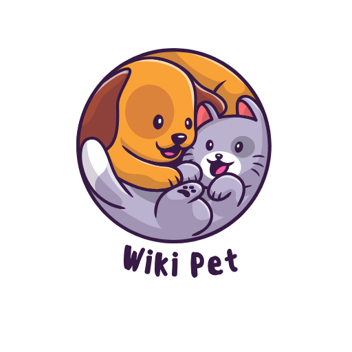 wikipetco's avatar'