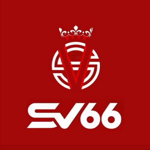 SV66 LTD's avatar'
