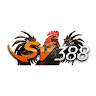 Trang Chủ SV3888's avatar'