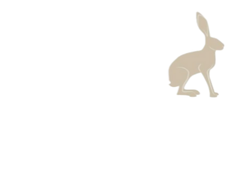 CH Mediation  Ireland's avatar'