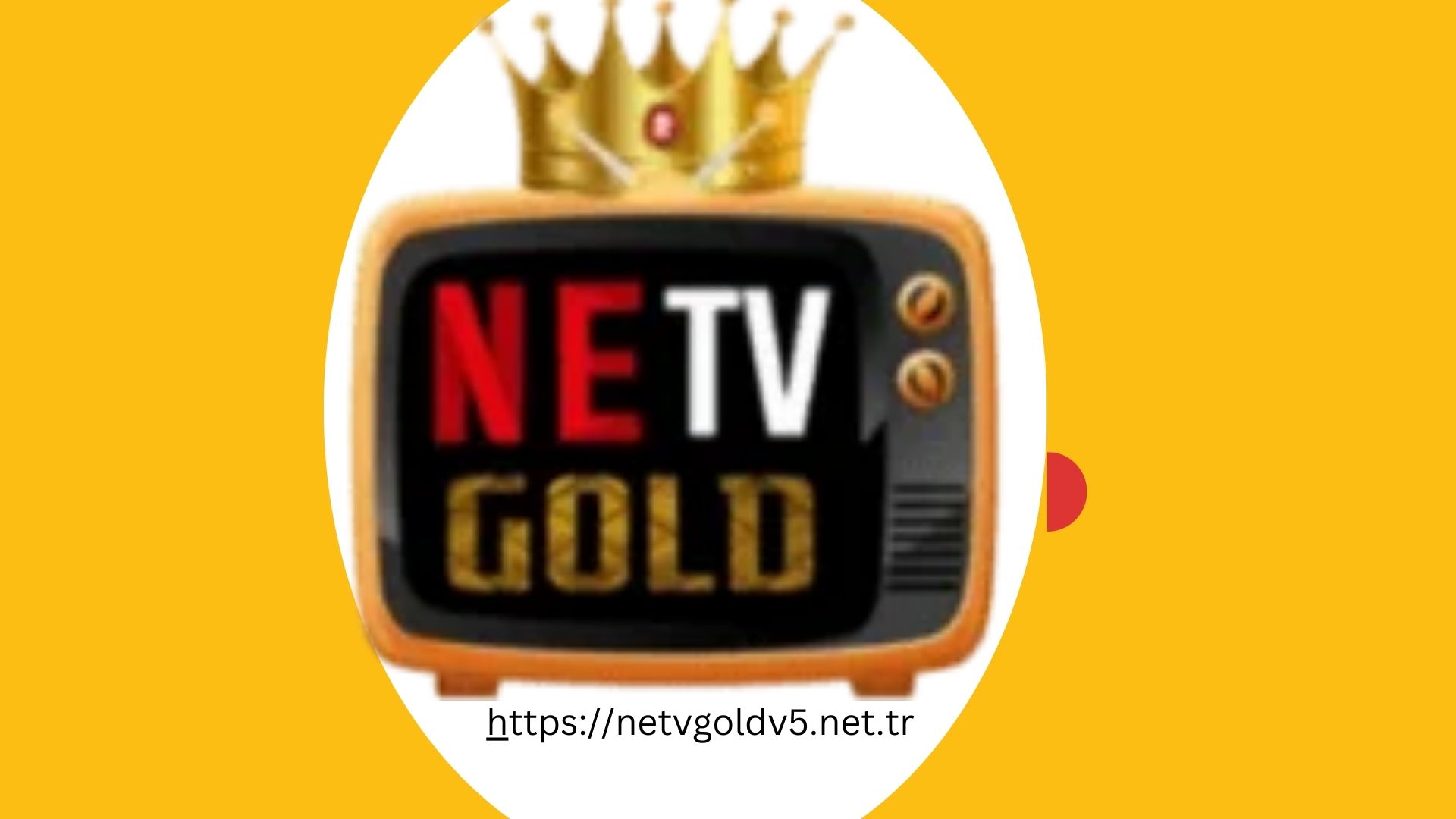Netv Gold V6's avatar'