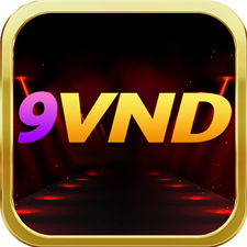 9VND's avatar'