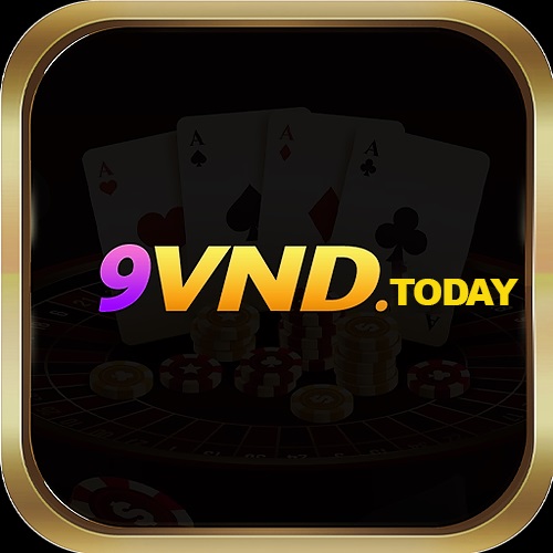 9vnd today's avatar'