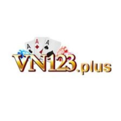 vn123 plus's avatar'