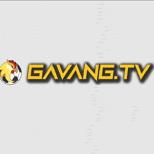 Gavang tv's avatar'
