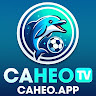 Caheo TV's avatar'
